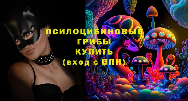 дурь Арсеньев