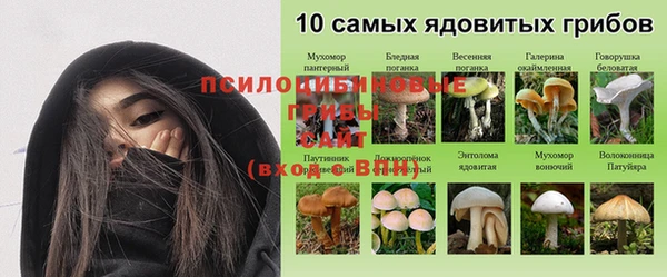дурь Арсеньев