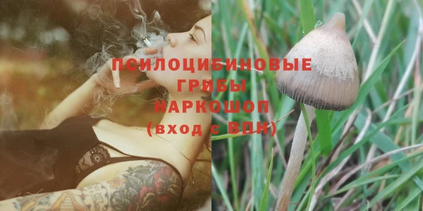 mix Аркадак