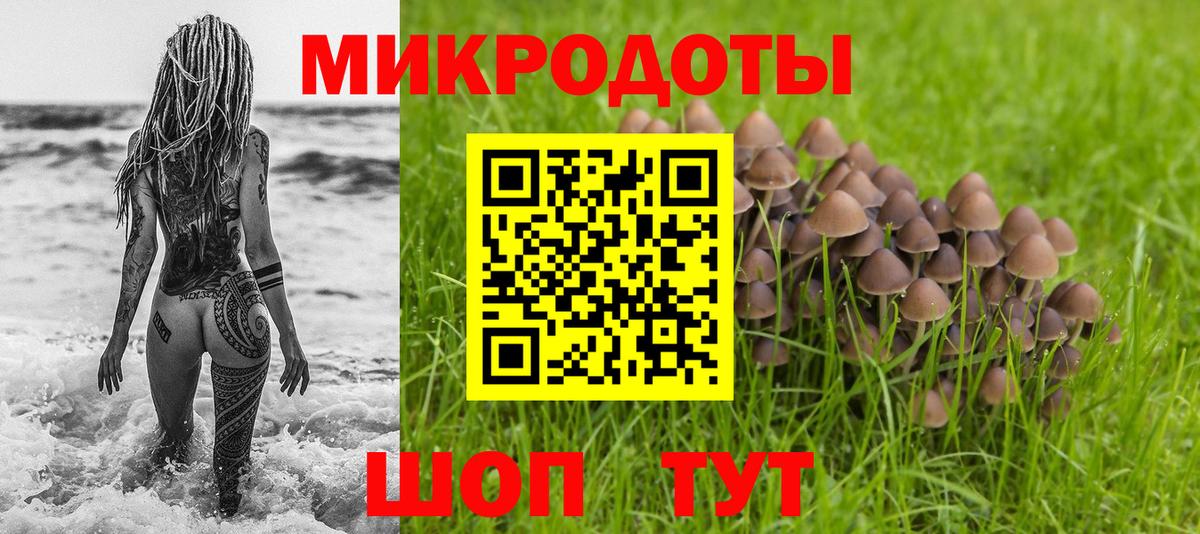 Галлюциногенные грибы Cubensis  Вход с VPN  Карачаевск 
